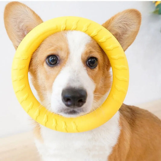 Durable Dog Ring Toys